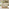 2x Iko Wood & Cream Garden Accent Chairs Set