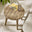 Iko Wood Round Garden Side Table