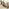 Iko Wood & Cream 4 Seat Garden Sofa & Chairs Set