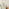 Inga Oak Wood Full Length Rectangle 170x50cm Wall Mirror
