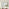 Inga Walnut Wood Long Rectangle 120x80cm Wall Mirror