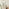 Inga Walnut Wood Full Length Rectangle 170x50cm Mirror