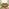Jolene Mustard Yellow Velvet 2 Seater Sofa