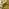 Jolene Mustard Yellow Velvet 2 Seater Sofa