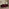 Jolene Maroon Velvet 3 Seater Sofa