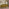 Jolene Mustard Yellow Velvet 3 Seater Sofa