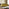 Jolene Mustard Yellow Velvet 3 Seater Sofa