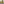 Jolene Mustard Yellow Velvet 3 Seater Sofa