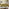 Jolene Mustard Yellow Velvet 3 Seater Sofa