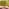 Jolene Mustard Yellow Velvet Footstool