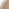 Judith Oak Wood Medium 80x80cm Round Wall Mirror