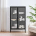 Jia Black Metal and Glass 2 Door Display Cabinet