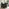 Jolene Dark Grey Velvet 3 Seater Sofa