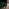 Jolene Emerald Green Velvet Armchair