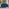 Jolene Navy Blue Velvet 2 Seater Sofa