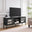 Kafe Black Metal 2 Door Storage TV Stand