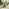 Lanai & Elba Beige Rattan & Black 4 Seat Round Table Garden Dining Set