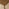 Leif Rectangular Walnut Veneer Solid Wood Large Extending 6-8 Seater Dining Table