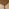 Leif Walnut Veneer Extending Dining Table & 6 Green Peri Chairs