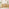 Leif Oak Veneer Wood Rectangular Extending Table & 4 Caia Wishbone Dining Chairs