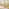 Leif Oak Veneer Wooden Rectangular Extending Table & 4 Masa Oak Dining Chairs