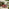 Leros Berry Red Metal 6 Seat Garden Dining Set
