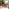 Leros Berry Red Metal 6 Seat Garden Dining Set