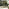 Leros Green Metal 6 Seat Garden Dining Set