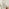Line Walnut Wood Full Length Rectangle 170x50cm Mirror