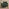 Logan Moss Green Fabric Armchair