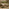 Lox 2 Seat Wood Garden Bench with Table