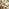 Lox Wood 2 Seat Half Round Folding Garden Table Set