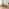 Lulworth Walnut Effect Wood Dining Table 6 Walnut Lynton Chairs