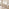 Lulworth Whitewashed Wood Dining Table 6 Light Grey Lynton Chairs
