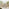 Lydiard Light Wood & Beige 7 Seat Garden Dining Set