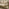 Lydiard Light Wood & Beige 7 Seat Garden Dining Set
