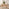 Lynton Small Oak Effect Dining Table & 4 Oak Effect Lilibet Chairs
