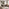 Lynton Round Whitewashed Dining Table & 6 Brown Dotty Chairs