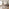 Lynton Small Walnut Effect Dining Table & 4 Beige Remy Chairs