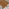 Lynton Walnut Effect Solid Wood Large Dining Bench