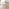 Lynton Small White & Light Grey Wooden Dining Table with 2 Chairs & Bench