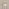 Lake 3 Green Glass Globes Pendant Ceiling Light