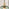Lake 3 Green Glass Globes Pendant Ceiling Light