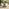Lanai Beige Rattan & Black 4 Seat Round Garden Dining Table