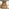 Lanai Beige Rattan & Black 4 Seat Round Garden Dining Table