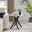 Leonardo Square White Marble Glass and Black Side Table