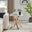 Leonardo Square White Marble Glass and Gold Side Table
