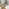 Leonardo Rectangle Brown/Grey Marble Glass and Gold Metal 4 Seat Dining Table