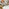 Leonardo Rectangle Brown/Grey Marble Glass & Gold Metal 6 Seat Dining Table
