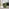 Liode Green Fabric Round Swivel Accent Chair